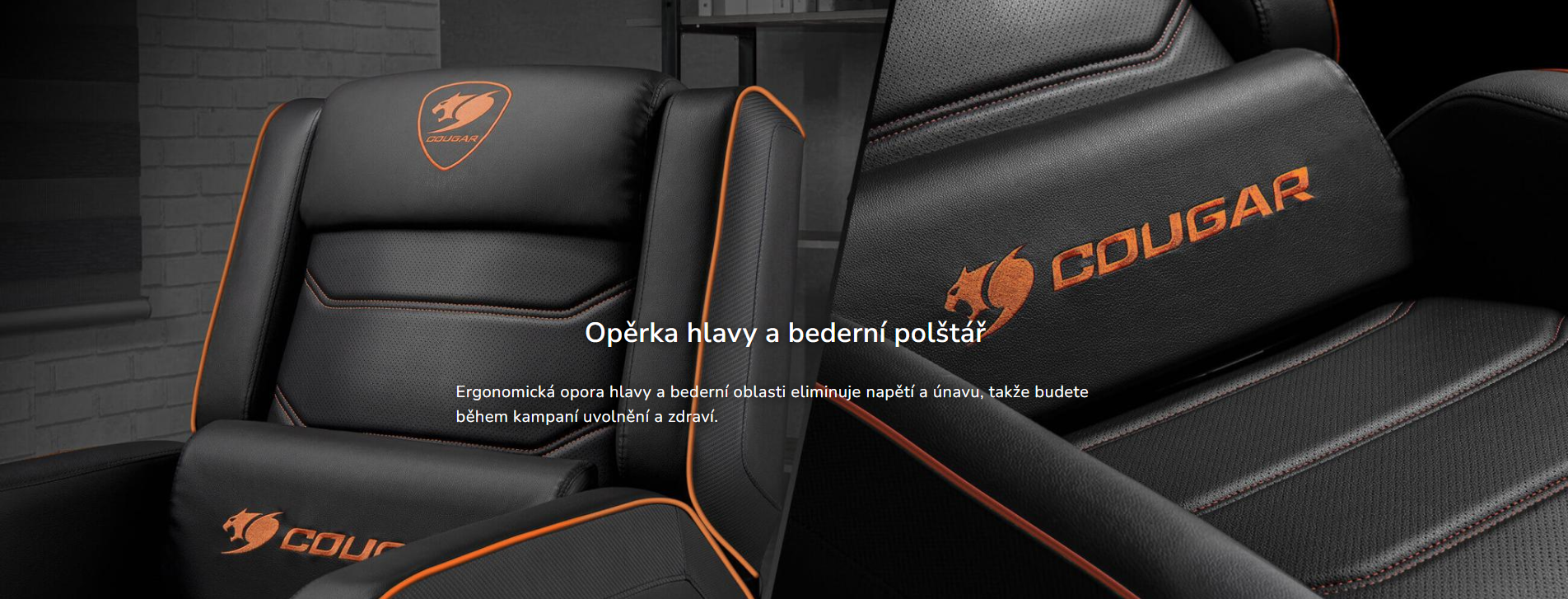 Snímek obrazovky 2026-03-10 145035